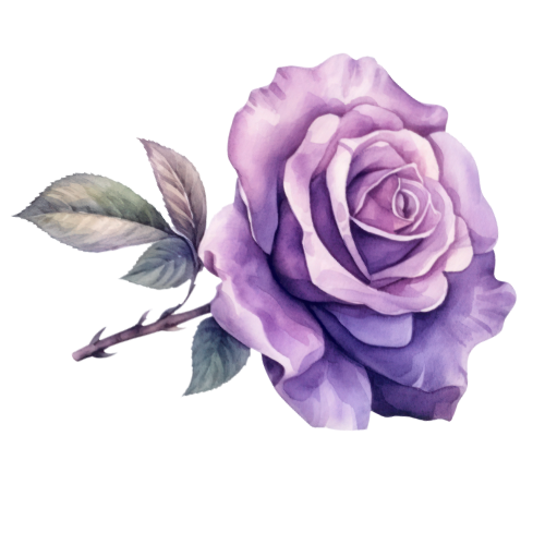 Zainab therapy Purple Rose Logo